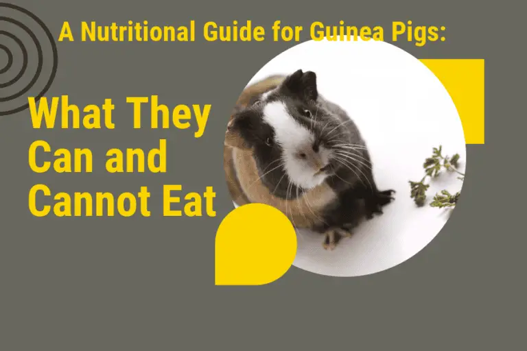 A Nutritional Guide for Guinea Pigs: What They Can and Cannot Eat