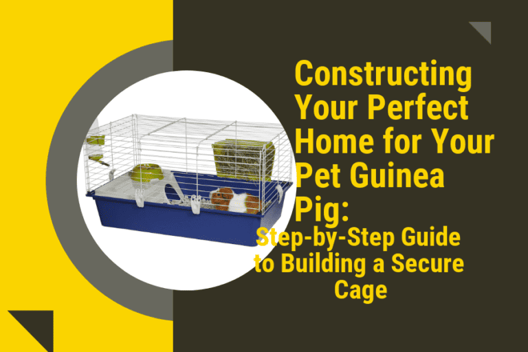 Constructing Your Perfect Home for Your Pet Guinea Pig: Step-by-Step Guide to Building a Secure Cage