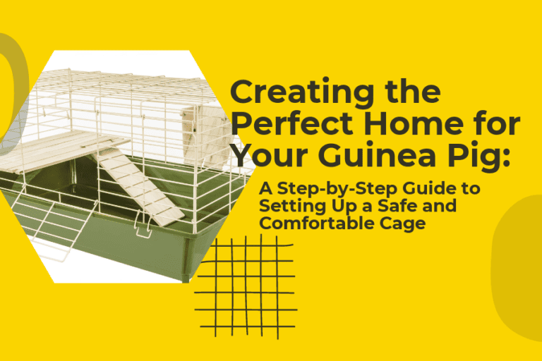 Creating the Perfect Home for Your Guinea Pig: A Step-by-Step Guide to Setting Up a Safe and Comfortable Cage
