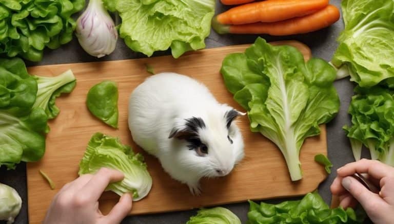 How Guinea Pigs Can Safely Eat Lettuce: A Guide