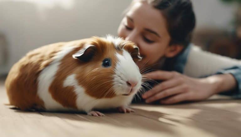 How to Make Your Guinea Pigs Friendly: A Complete Guide
