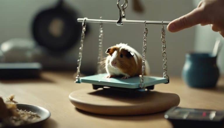 How Much Does a Guinea Pig Weigh: A Complete Weight Guide