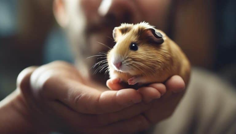 How to Choose Between a Hamster and Guinea Pig